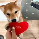 achi achi