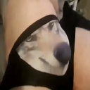 Wolf Wif Wolf Wif