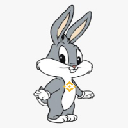 BNB BUNNY BNB BUNNY