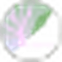 Cabbage Cabbage