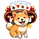 Casinu Inu Casinu Inu