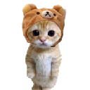CATWIFHAT CATWIFHAT