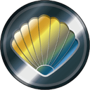 Clams Clams