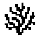 Coral Protocol Coral Protocol