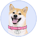 DogeGF DogeGF
