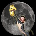 DOGE TO MOON (dogemoons.fun) DOGE TO MOON (dogemoons.fun)