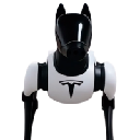 Tesla Dog Tesla Dog