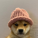 dogwifhat (ETH) dogwifhat (ETH)