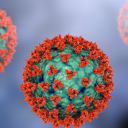 HantaVirus