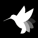 Hummingbot Governance Token Hummingbot Governance Token