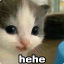 hehe hehe