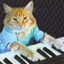Keyboard Cat Keyboard Cat