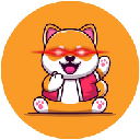 Kaiken Shiba Kaiken Shiba