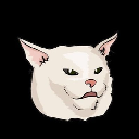 lmeow lmeow