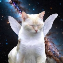 Manifest Manifest
