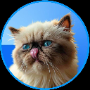 Mr Miggles Mr Miggles