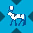 Novo Nordisk tokenized stock (xStock) Novo Nordisk tokenized stock (xStock)