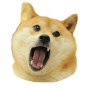 Doge Eat Doge Doge Eat Doge