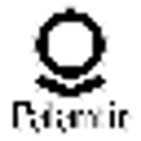 Palantir Technologies Inc (Derivatives) Palantir Technologies Inc (Derivatives)
