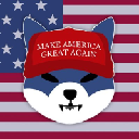 American Shib American Shib