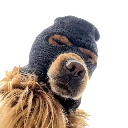 Ski Mask Dog Ski Mask Dog