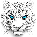 Snow Leopard Snow Leopard
