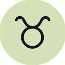 Taurus Taurus