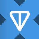 Ton Strategy tokenized stock (xStock) Ton Strategy tokenized stock (xStock)