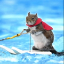 Twiggy the water skiing squirrel Twiggy the water skiing squirrel