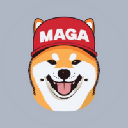 DogWithCap DogWithCap