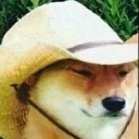 What in Tarnation? What in Tarnation?