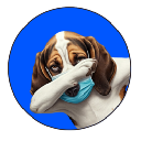 BaseHoundBot by Virtuals BaseHoundBot by Virtuals