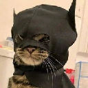 batcat batcat
