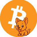 Bitcoin Inu (tokeninu.xyz) Bitcoin Inu (tokeninu.xyz)