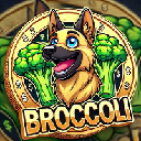 BROCCOLI (FirstBroccoli on BNB) BROCCOLI (FirstBroccoli on BNB)