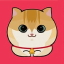 Cat Cat