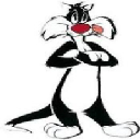 CAT SYLVESTER CAT SYLVESTER
