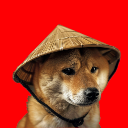 Chinese Doge Wow Chinese Doge Wow