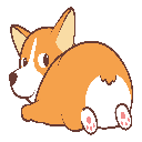 CorgiCoin CorgiCoin
