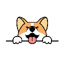 Corgidoge Corgidoge
