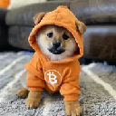 Dog (Bitcoin) Dog (Bitcoin)