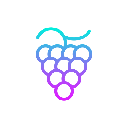 Grape Network Grape Network