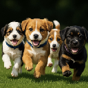 I love puppies