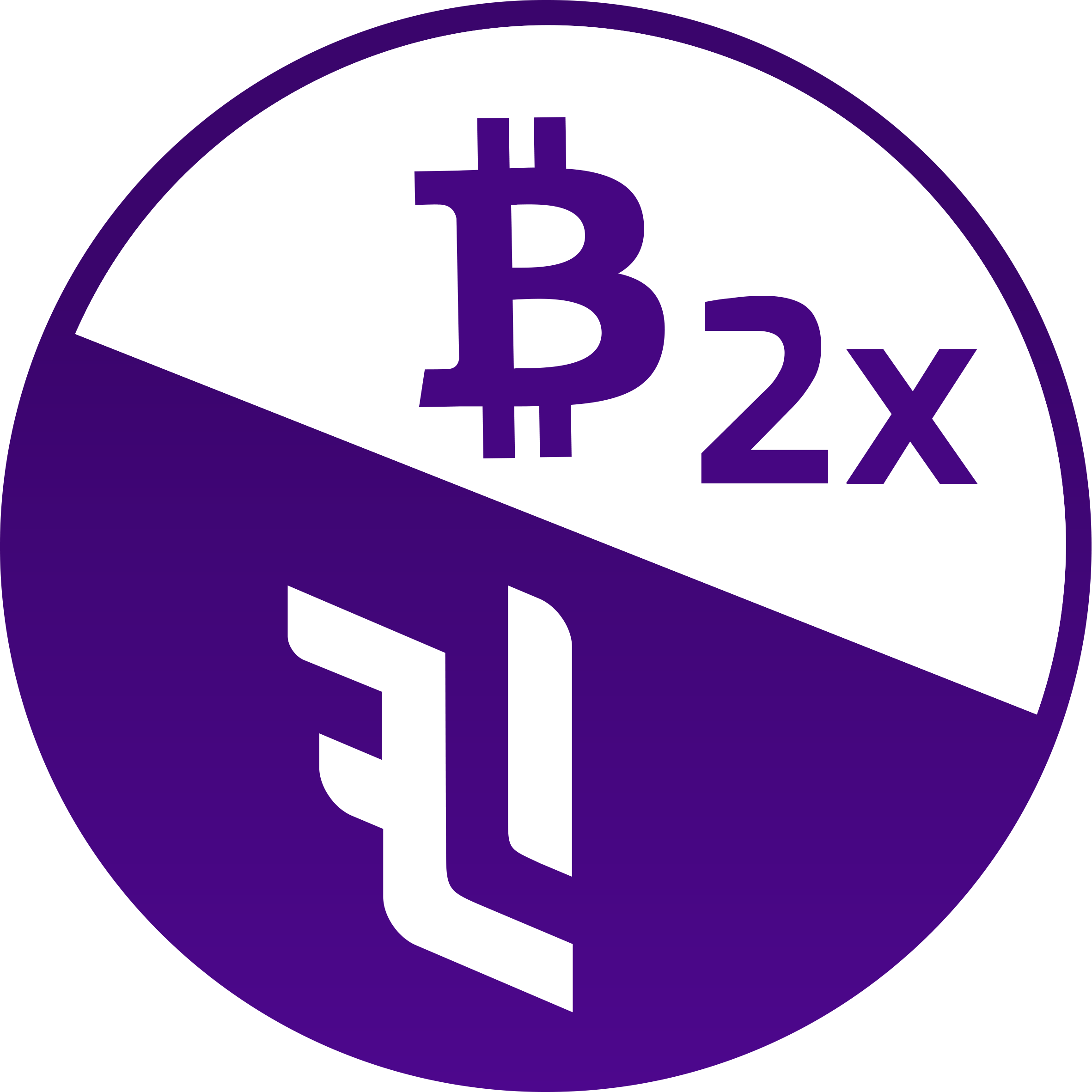 BTC 2x Flexible Leverage Index BTC 2x Flexible Leverage Index