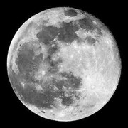 Moon Moon