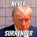 NEVER SURRENDER NEVER SURRENDER