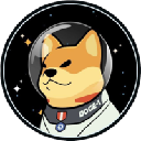 Satellite Doge-1 Mission Satellite Doge-1 Mission