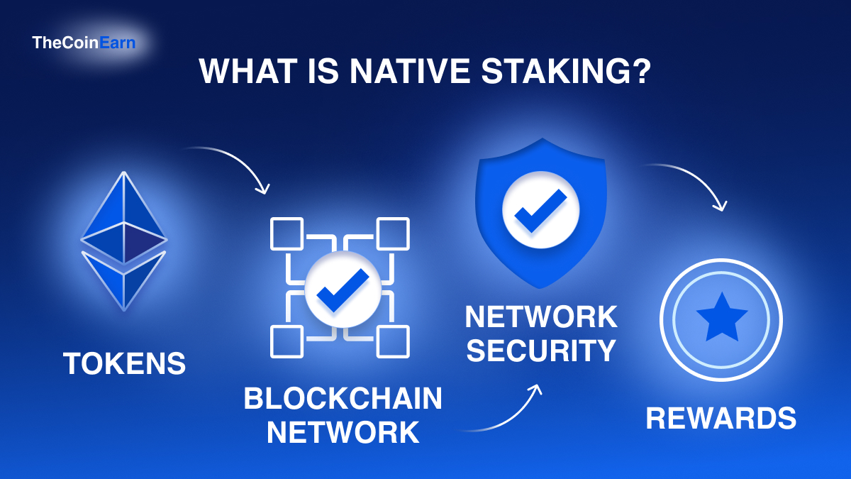Step-by-step process of native staking.