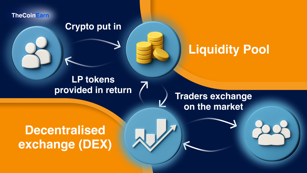 Explanation of the connection between the liquidity pool and decentralized exchange (DEX).