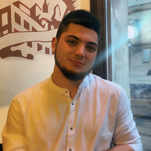 Dmytro Palianytsia avatar